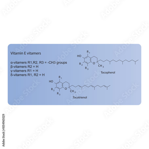 Diagram of Vitamin E vitamers - Tocopherol and Tocotrienol skeletal structure, chemical diagram. photo