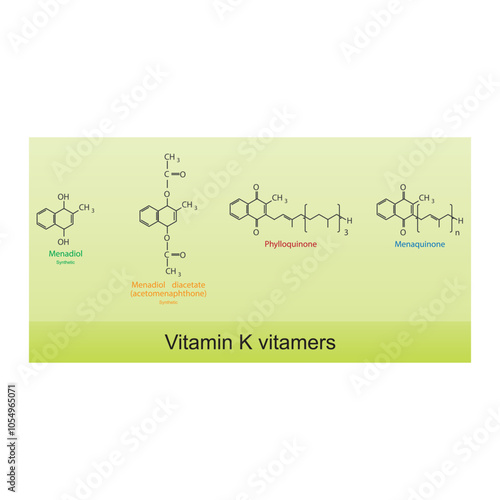 Diagram of Vitamin K vitamers - Phylloquinone, Menaquinone, Menadiol, Menadiol diacetate - skeletal chemical structure, scientific illustration.