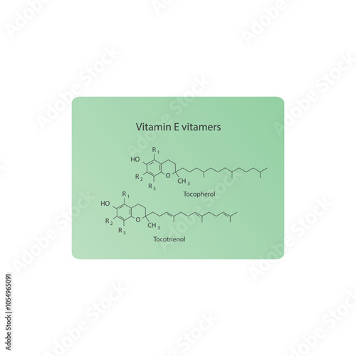 Diagram of Vitamin E vitamers - Tocopherol and Tocotrienol skeletal structure, chemical diagram. photo