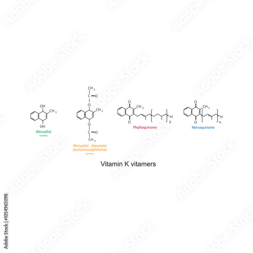 Diagram of Vitamin K vitamers - Phylloquinone, Menaquinone, Menadiol, Menadiol diacetate - skeletal chemical structure, scientific illustration.