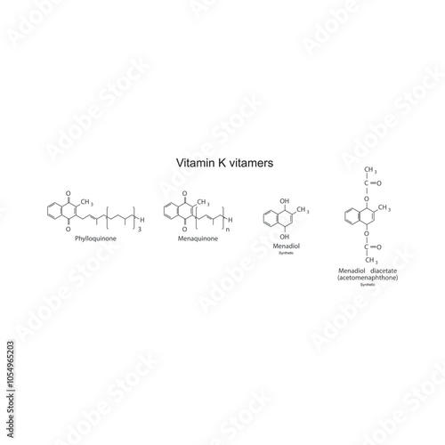 Diagram of Vitamin K vitamers - Phylloquinone, Menaquinone, Menadiol, Menadiol diacetate - skeletal chemical structure, scientific illustration.