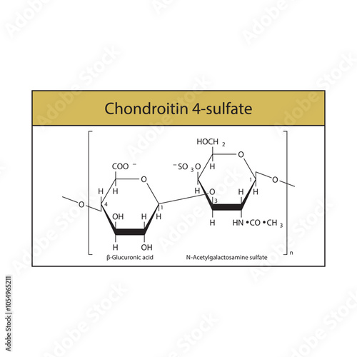 Chondroitin 4-sulfate skeletal structure diagram.Polysaccharide  compound molecule scientific illustration.