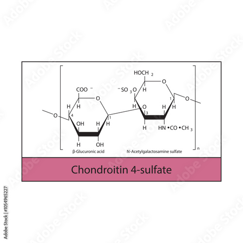 Chondroitin 4-sulfate skeletal structure diagram.Polysaccharide  compound molecule scientific illustration.