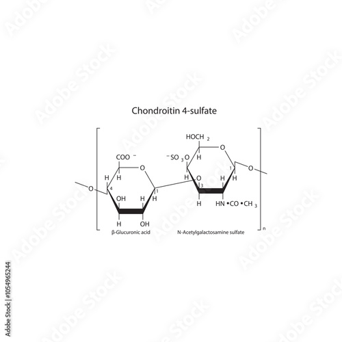 Chondroitin 4-sulfate skeletal structure diagram.Polysaccharide  compound molecule scientific illustration.