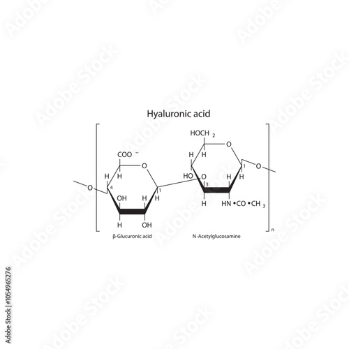 Hyaluronic acid skeletal structure diagram.Polysaccharide  compound molecule scientific illustration.