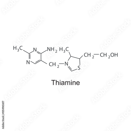 Thiamine skeletal structure diagram.Vitamin B1 compound molecule scientific illustration.
