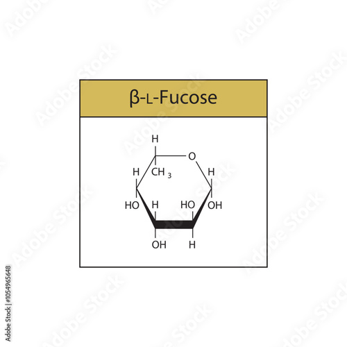 β-L-Fucose skeletal structure diagram.Sugar compound molecule scientific illustration.
