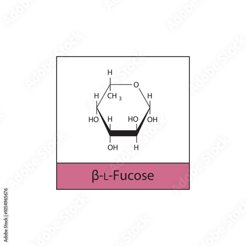 β-L-Fucose skeletal structure diagram.Sugar compound molecule scientific illustration.