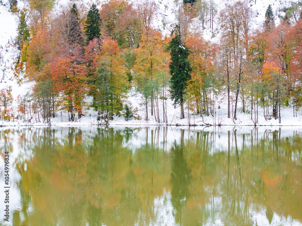 Fototapeta premium Borcka Karagol Lake National Park Drone Photo, Borcka Artvin, Turkiye (Turkey)