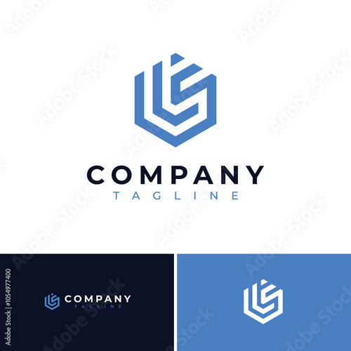 letter ls hexagon logo design