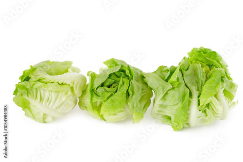 lettuce on white background