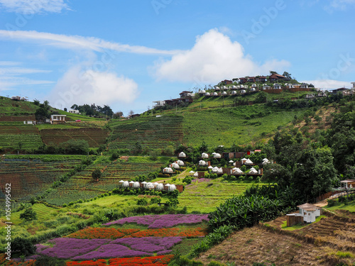 Beautiful landscape view of rice terrace and small house photo