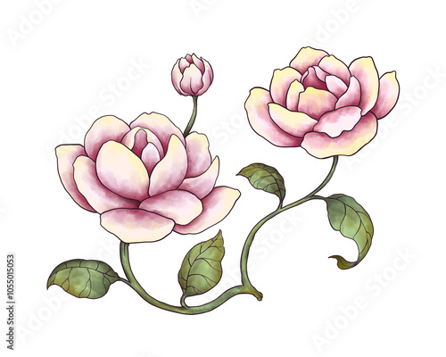 Flower Collection Illustration with Transparent Background. Colorful Spring Floral Set.