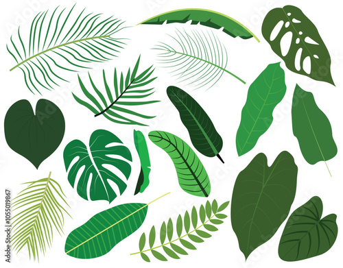 Set of tropical leaves and palm fronds leaf vector illustration.