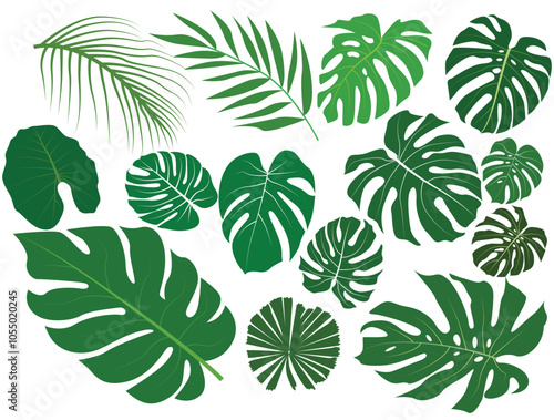 Set of tropical leaves and palm fronds leaf vector illustration.