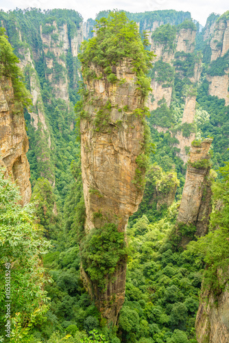 Majestic Mountain Peaks and Dense Forests in Zhangjiajie Scenic Area, Hunan, China