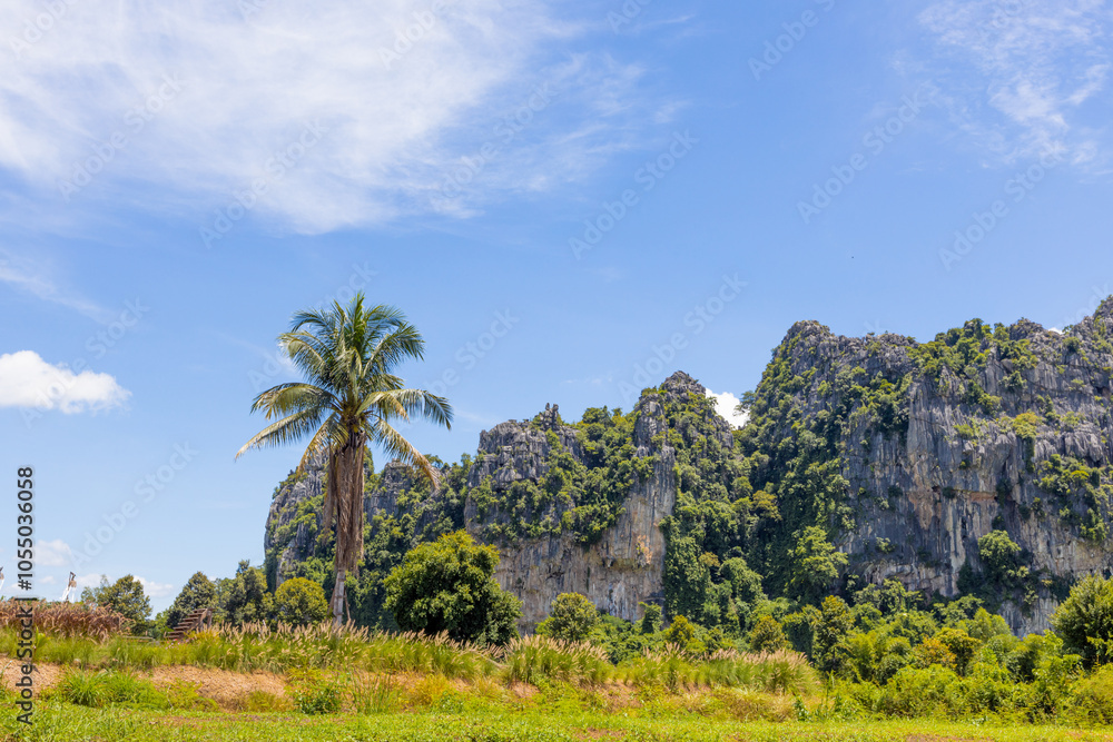 The natural background of the camping ground has chairs to sit and enjoy the natural view. The air is fresh and the atmosphere is surrounded by trees and big mountains. The natural background of the camping ground has chairs to sit and enjoy the natural view. The air is fresh and the atmosphere is surrounded by trees and big mountains.