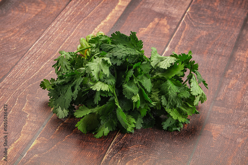 Fresh green cilantro branches heap Fresh green cilantro branches heap