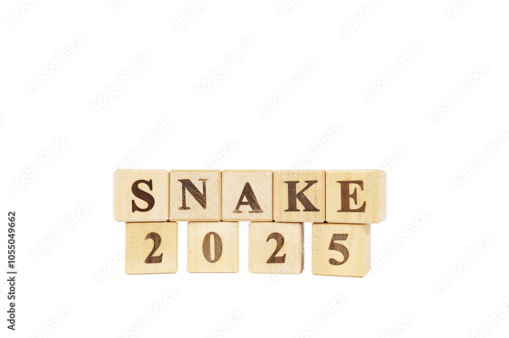 Starting new year 2025. Year of the Wood Snake. Year of the Snake. Beginning and start of new year 2025. new year, life, business, plan, goals, target and strategy concept. Isolated white background Starting new year 2025. Year of the Wood Snake. Year of the Snake. Beginning and start of new year 2025. new year, life, business, plan, goals, target and strategy concept. Isolated white background