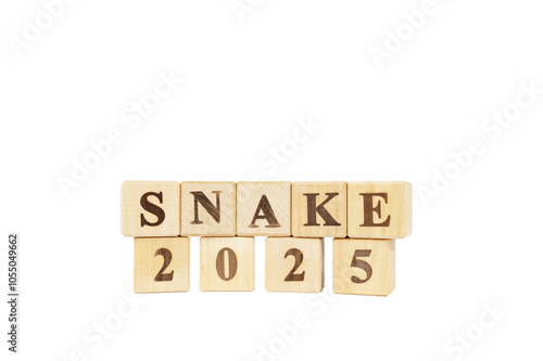 Starting new year 2025. Year of the Wood Snake. Year of the Snake. Beginning and start of new year 2025. new year, life, business, plan, goals, target and strategy concept. Isolated white background