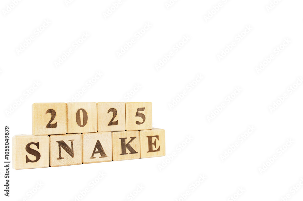Starting new year 2025. Year of the Wood Snake. Year of the Snake. Beginning and start of new year 2025. new year, life, business, plan, goals, target and strategy concept. Isolated white background Starting new year 2025. Year of the Wood Snake. Year of the Snake. Beginning and start of new year 2025. new year, life, business, plan, goals, target and strategy concept. Isolated white background