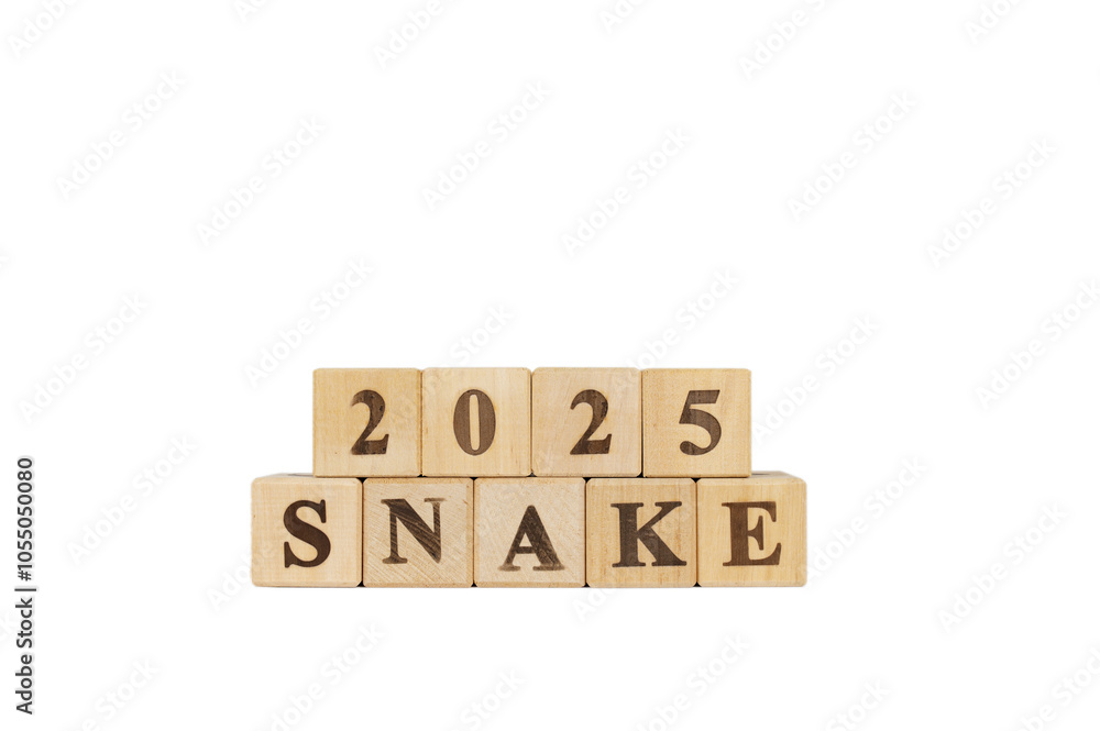 Starting new year 2025. Year of the Wood Snake. Year of the Snake. Beginning and start of new year 2025. new year, life, business, plan, goals, target and strategy concept. Isolated white background Starting new year 2025. Year of the Wood Snake. Year of the Snake. Beginning and start of new year 2025. new year, life, business, plan, goals, target and strategy concept. Isolated white background