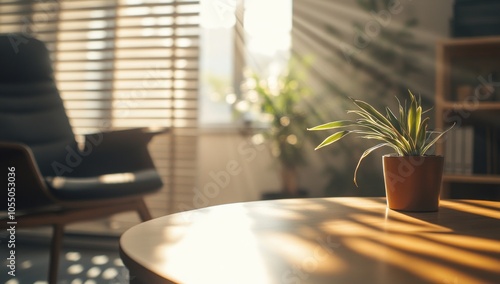 Sunlight Drenched Home Decor