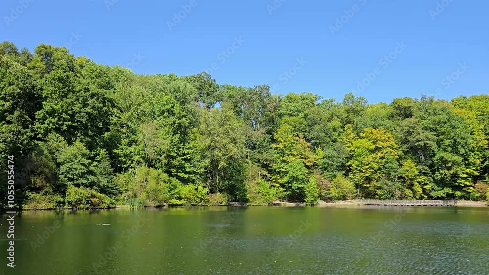 A peaceful forest lake surrounded by lush green trees under a bright, clear blue sky. Perfect for nature, landscape, and outdoor relaxation themes. A peaceful forest lake surrounded by lush green trees under a bright, clear blue sky. Perfect for nature, landscape, and outdoor relaxation themes.