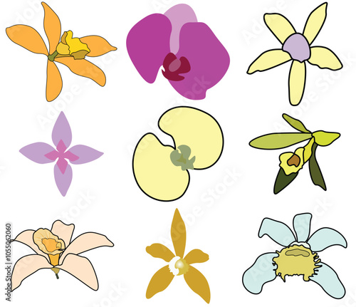 Set of Vanilla flower - Vanills flower vector full color illustration.