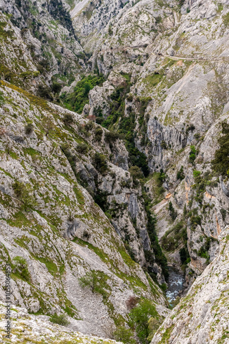 Magnificent landscape of the Cares gorge in the Picos de Europa mountains in Asturias, Spain