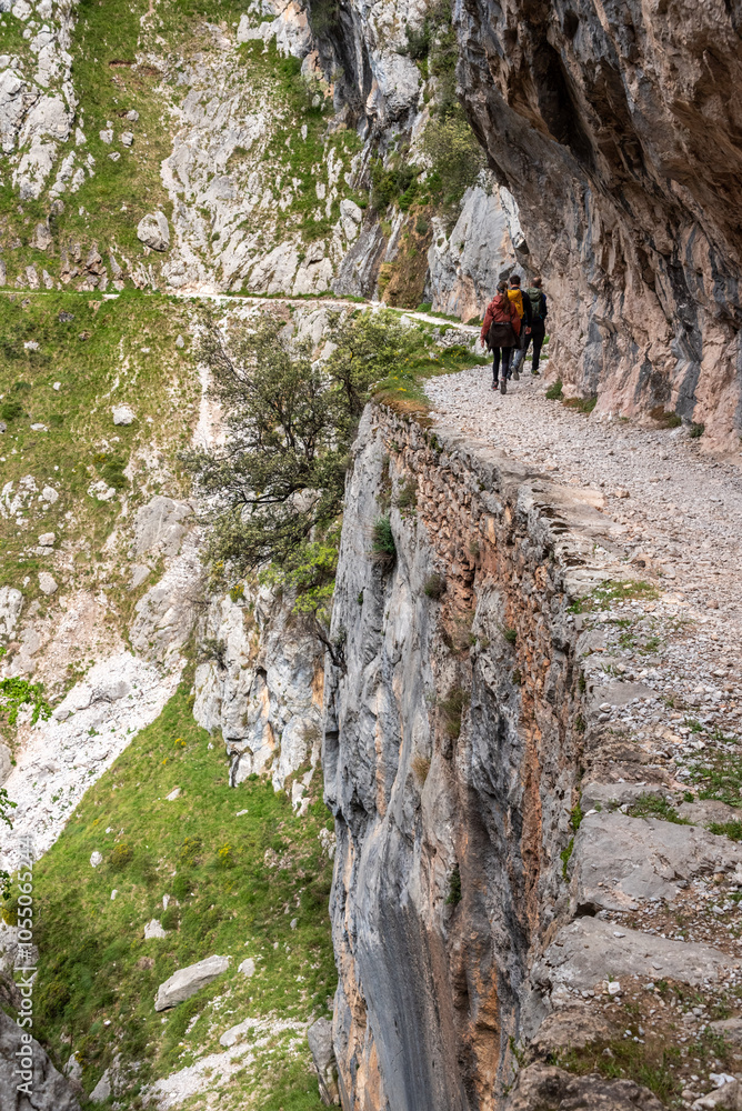 A group of hikers hiking the picturesque Cares gorge in the Picos de Europa mountains in Asturias, Spain