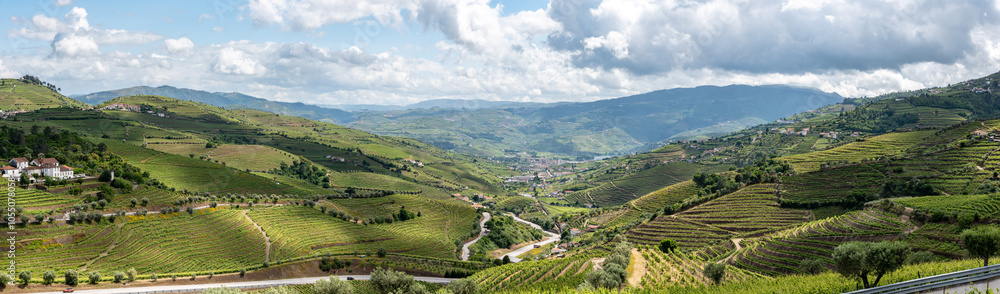 Quaint agricultural landscape in the Douro valley at viewpoint Espaco Douro Vivo near village Santa Marta de Penaguiao Quaint agricultural landscape in the Douro valley at viewpoint Espaco Douro Vivo near village Santa Marta de Penaguiao