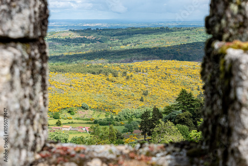 View between the battlements of Tracoso castle on the wide rural landscape with yellow flowers photo