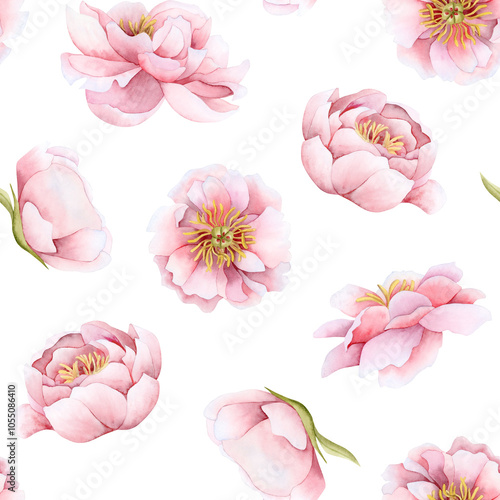 Romantic pink peony flowers watercolor seamless pattern on white. Floral garden roses repeat background for spring wedding design, Valentines Day greeting cards and girl stationery