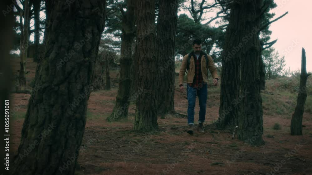 Man hiking, walking in the natural forest, looking around, nature. Trekking with a backpack walks through the forest. Man hiking, walking in the natural forest, looking around, nature. Trekking with a backpack walks through the forest.