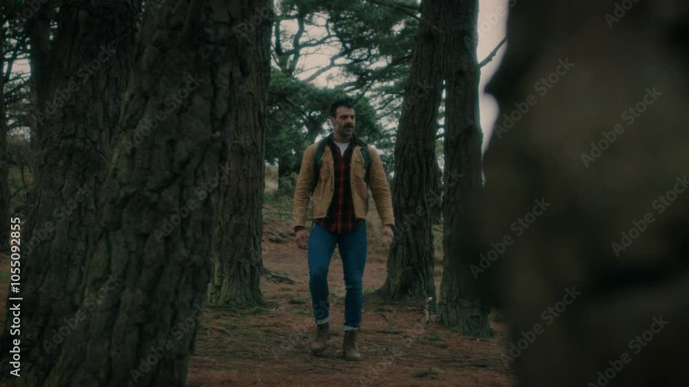 Man hiking, walking in the natural forest, looking around, nature. Trekking with a backpack walks through the forest. Man hiking, walking in the natural forest, looking around, nature. Trekking with a backpack walks through the forest.