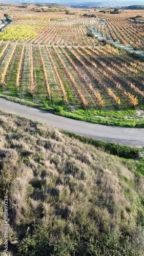 Aerial view of vineyards in autumn in the La Rioja appellation region of Spain.