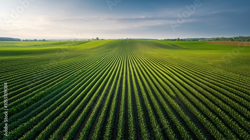 Vast green fields with patterned crop lines under a clear sky, showcasing the beauty of nature.