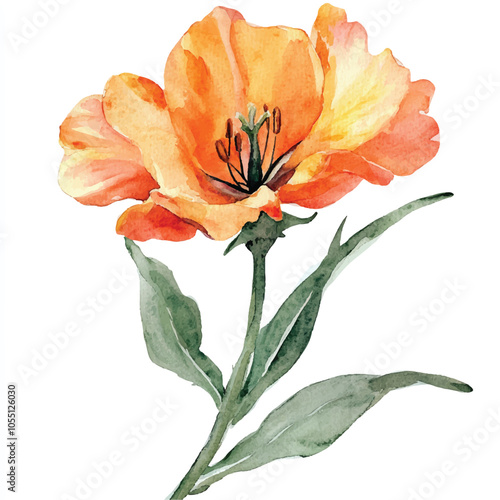 Bilde på lerret wallflower watercolor clipart illustration