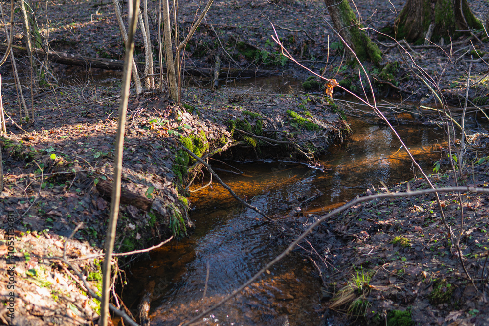 Small stream in the middle of the forest during winter season Small stream in the middle of the forest during winter season