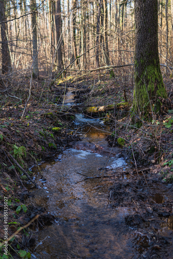 Small stream in the middle of the forest during winter season Small stream in the middle of the forest during winter season
