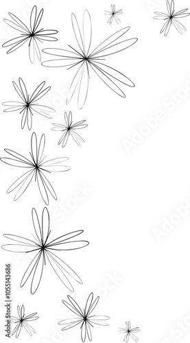 Cartolina B&W Stelle fiorite lato sinistro 14.8 x 10.5 cm