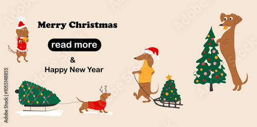 Web page design template. Dachshunds dogs pulls a Christmas tree on a sleigh and decorate Christmas trees. 