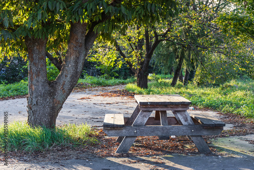 A wooden bench found on a quiet walking path with fallen leaves at sunset.