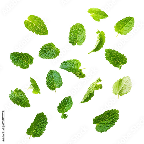 Fresh green mint leaves scattered on black background.