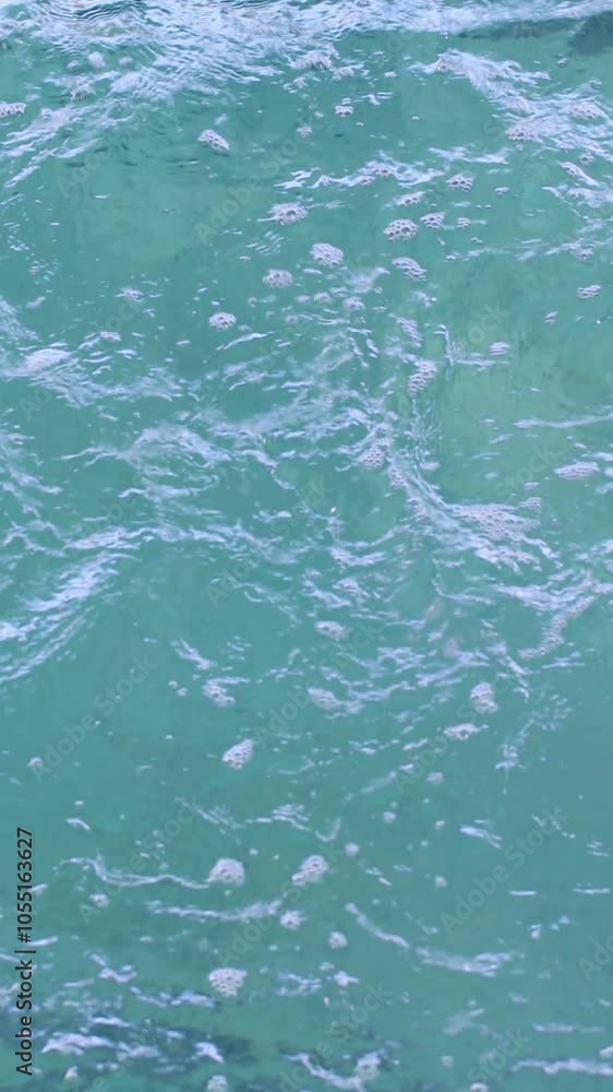 Vertical Video of fit swimmer doing the front stroke in the swimming pool in the leisure center Vertical Video of fit swimmer doing the front stroke in the swimming pool in the leisure center