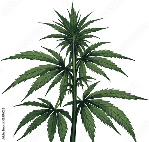 Detailed Cannabis Plant Illustration