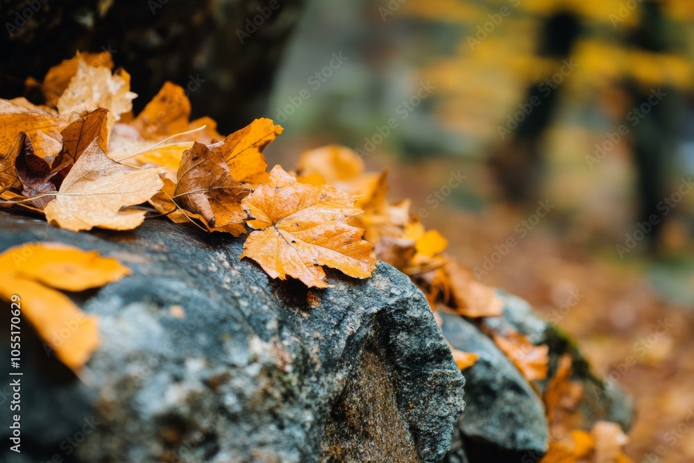 A single rock covered with vibrant green leaves in a natural outdoor setting. A single rock covered with vibrant green leaves in a natural outdoor setting.