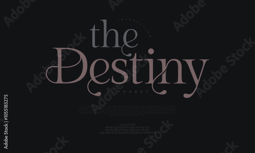 Destiny typography beauty fashion elegant minimalist serif italic fonts decorative wedding vintage retro logos. Minimal luxury font alphabet logo. Vector illustration