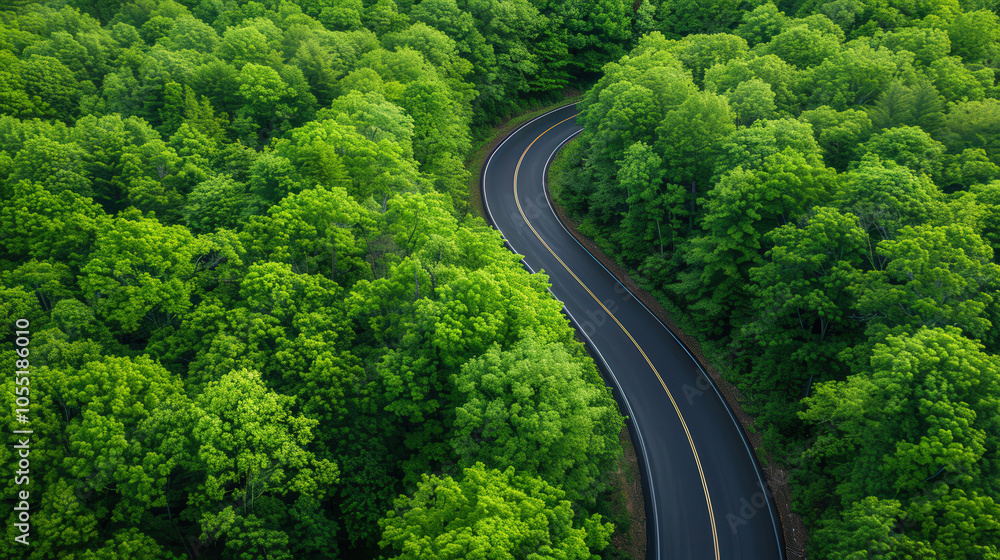 Curvy Road Through Lush Green Forest, A high-angle perspective showcasing a winding asphalt road surrounded by vibrant greenery, inviting a serene journey through nature's beauty Curvy Road Through Lush Green Forest, A high-angle perspective showcasing a winding asphalt road surrounded by vibrant greenery, inviting a serene journey through nature's beauty